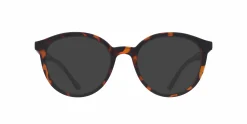 Bevis