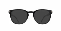BOSS 1601