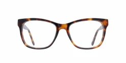 Cedar