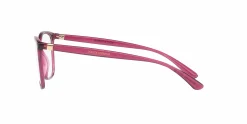 DG5026