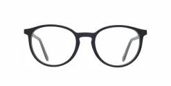Luna1