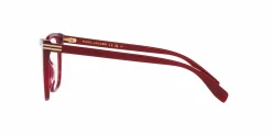 MJ 1096