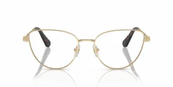 SK1007
