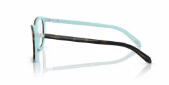 TF2109HB
